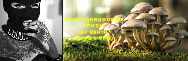 молекула духа Няндома