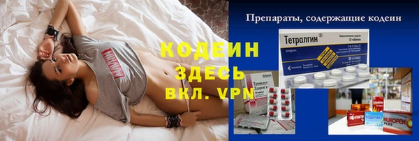 дмт Осинники