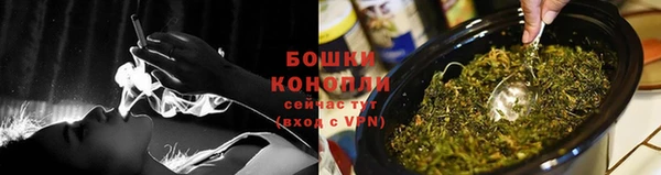 молекула духа Няндома