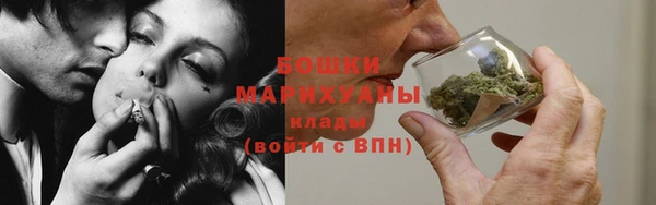 молекула духа Няндома