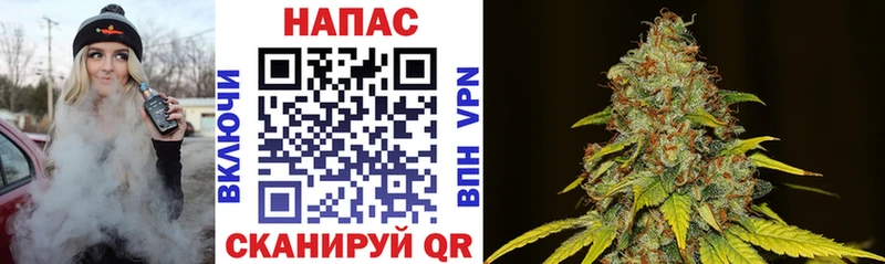 Каннабис индика  Оханск 
